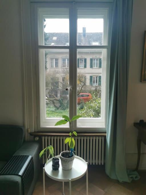 Beautiful Central Apartment Bern Kültér fotó